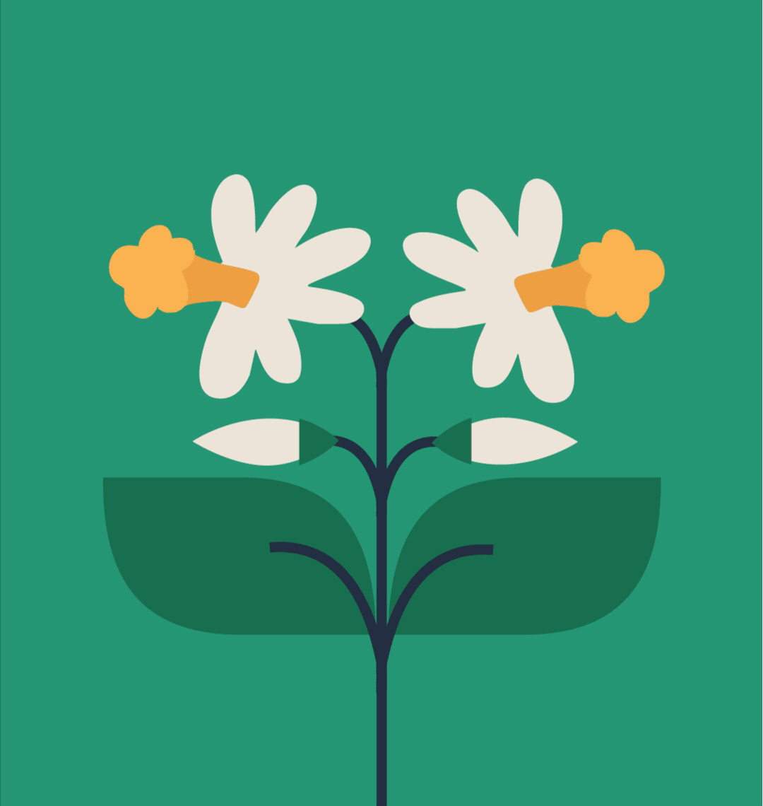 Illustrations du projet Parcs en fête 2025